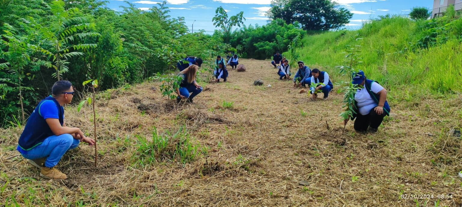 Exitosa jornada de reforestación en La Valdeza
